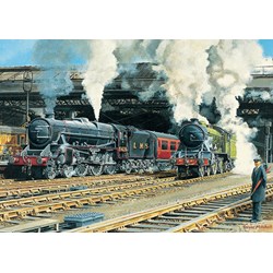 Falcon (11120) - Trevor Mitchell: "Full Steam Ahead" - 500 brikker puslespil