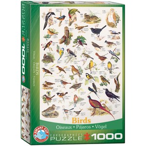 Eurographics (6000-1259) - "Fugle" - 1000 brikker puslespil