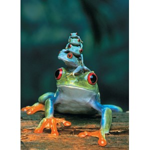 Eurographics (6000-3004) - "Red-Eyed Tree Frog" - 1000 brikker puslespil