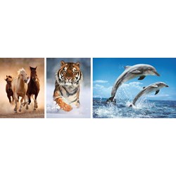 Clementoni (08004) - "Animals" - 1000 brikker puslespil