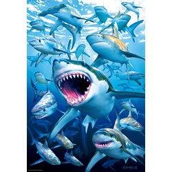 Educa (17085) - "Shark Club" - 500 brikker puslespil