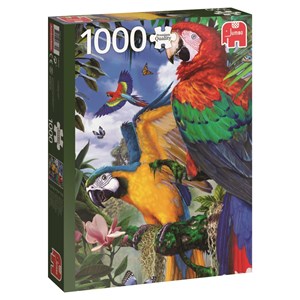 Jumbo (18330) - "Pretty Parrots" - 1000 brikker puslespil