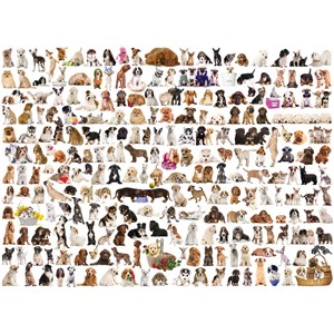 Eurographics (6000-0581) - "En Verden Af Hunde" - 1000 brikker puslespil
