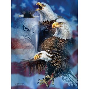 SunsOut (46530) - Steven Michael Gardner: "Patriotic Eagles" - 1000 brikker puslespil