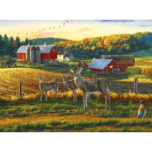 Buffalo Games (11238) - Darrell Bush: "Harvest Time" - 1000 brikker puslespil