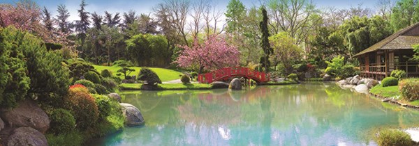 Jumbo (18571) - "Colourful Garden" - 1000 brikker puslespil