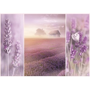 Trefl (104110) - Sandra Kreuzinger: "Romantic Lavender Fields" - 1000 brikker puslespil