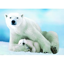 Eurographics (6000-1198) - "Polar Bear and Baby" - 1000 brikker puslespil