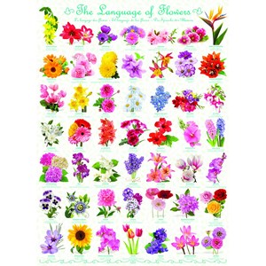 Eurographics (6000-0579) - "The Language of Flowers" - 1000 brikker puslespil