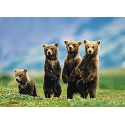 Eurographics (8300-0531) - "Bear Cubs Standing" - 300 brikker puslespil