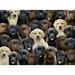 Ravensburger (10971) - Greg Cuddiford: "Labradors" - 100 brikker puslespil
