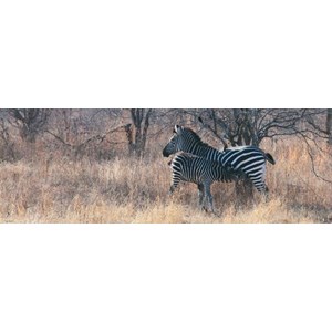 Heye (29469) - Alexander von Humboldt: "Spisetid" - 1000 brikker puslespil