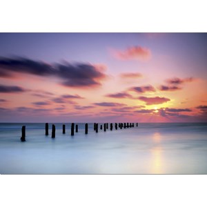 Educa (16304) - "Silky Smooth" - 1500 brikker puslespil