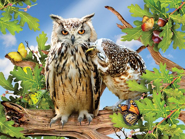 SunsOut (34950) - Lori Schory: "Owl Always Love You" - 500 brikker puslespil