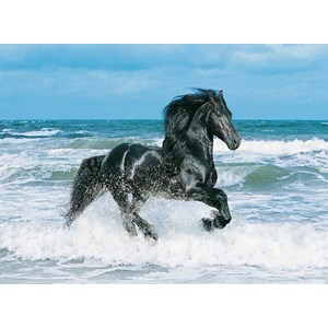 Clementoni (30175) - "Black Horse" - 500 brikker puslespil