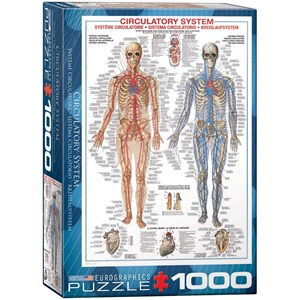 Eurographics (6000-4940) - "Circulatory System" - 1000 brikker puslespil