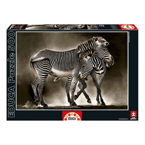 Educa (16359) - "Zebras" - 500 brikker puslespil