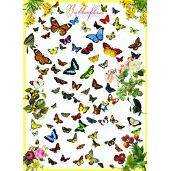 Eurographics (6000-0077) - "Butterflies" - 1000 brikker puslespil