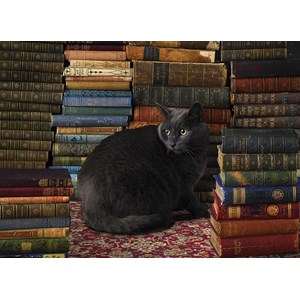 Cobble Hill (51830) - "Library Cat" - 1000 brikker puslespil