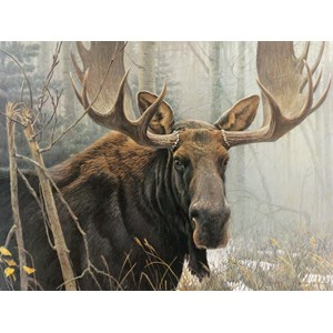 Cobble Hill (52080) - Robert Bateman: "Bull Moose" - 500 brikker puslespil