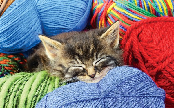 SunsOut (37318) - Greg Cuddiford: "A Sound Sleep" - 300 brikker puslespil