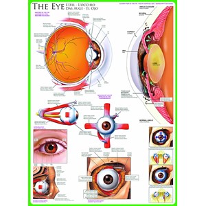 Eurographics (6000-0260) - "The Eye" - 1000 brikker puslespil