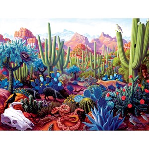 SunsOut (69936) - "Cactusland" - 1000 brikker puslespil