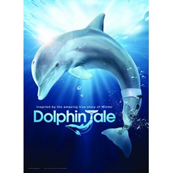 Eurographics (6001-0328) - "Dolphin Tale" - 100 brikker puslespil