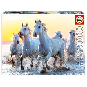 Educa (17105) - "White Horses At Sunset" - 1000 brikker puslespil