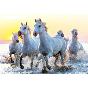 Educa (17105) - "White Horses At Sunset" - 1000 brikker puslespil