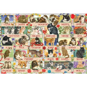 Jumbo (18324) - "Francien's Anniversary Cats" - 1000 brikker puslespil