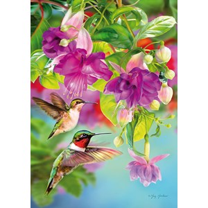 Piatnik (546747) - Greg Giordano: "Hummingbirds" - 1000 brikker puslespil