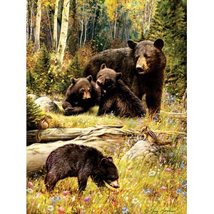 Cobble Hill (52102) - "Bears" - 500 brikker puslespil