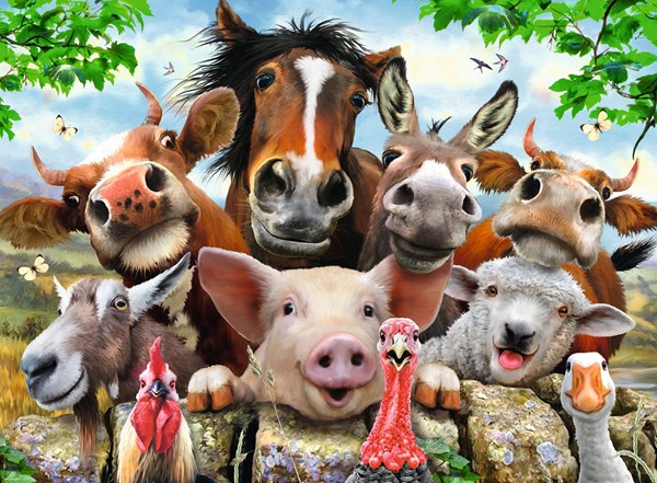 Ravensburger (13207) - Howard Robinson: "Say Cheese!" - 300 brikker puslespil