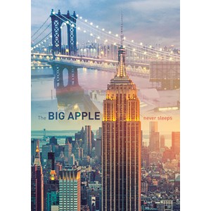 Trefl (103939) - "New York at Dawn" - 1000 brikker puslespil