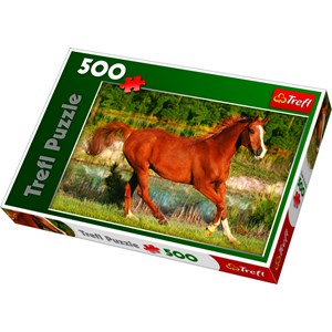 Trefl (371840) - "The Beauty Of Gallop" - 500 brikker puslespil