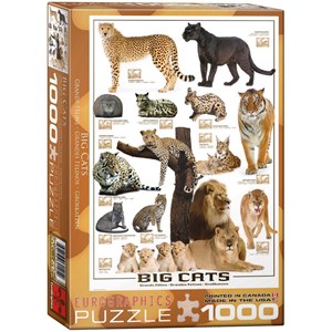 Eurographics (6000-0125) - "Big Cats" - 1000 brikker puslespil