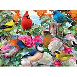 Ravensburger (14223) - Howard Robinson: "Garden Birds" - 500 brikker puslespil