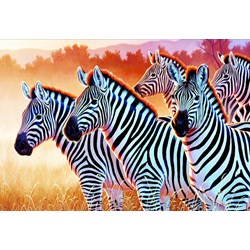 Trefl (261295) - "Zebras" - 1500 brikker puslespil