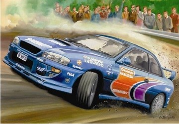 Anatolian (PER3278) - Luis Bargallo: "Rally" - 260 brikker puslespil