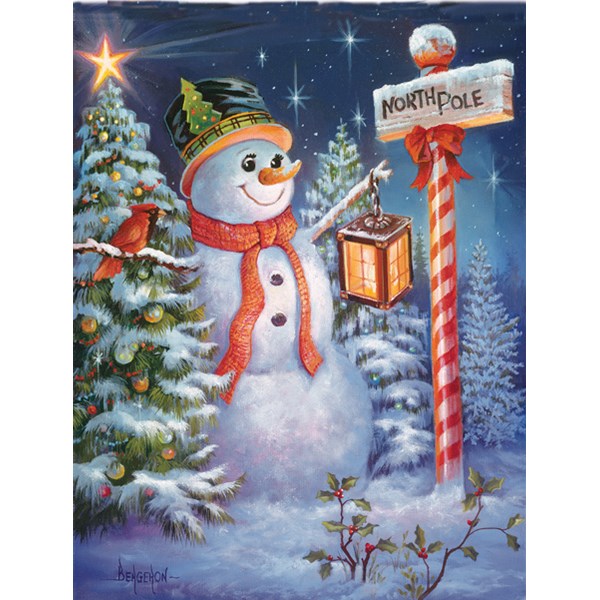 SunsOut (49130) - Sandra Bergeron: "North Pole or Bust" - 500 brikker puslespil