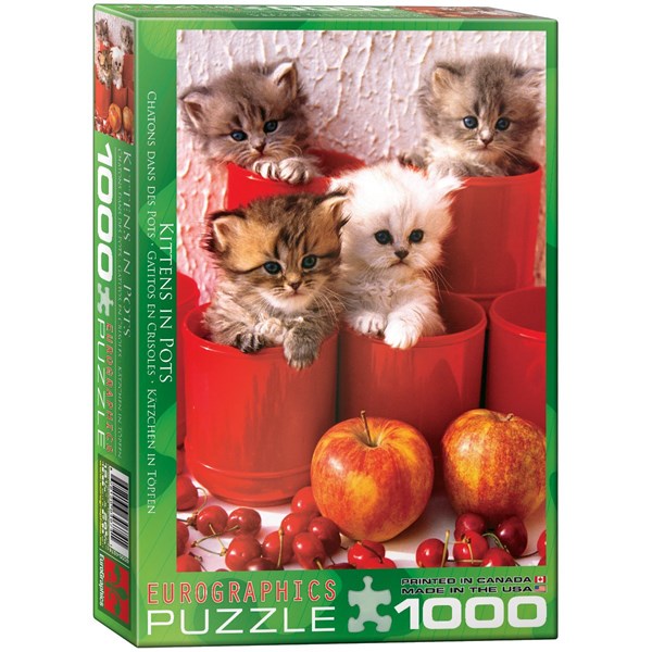 Eurographics (6000-4674) - "Kittens in Pots" - 1000 brikker puslespil