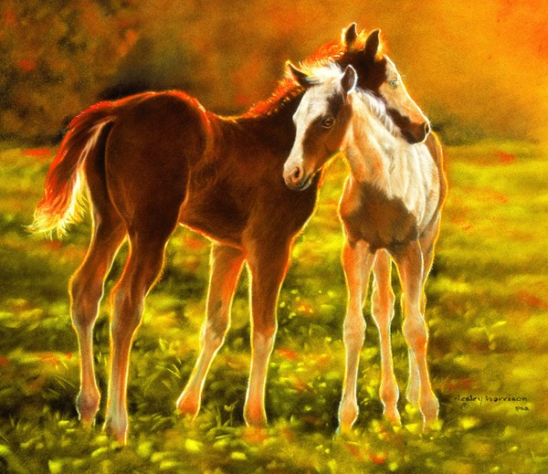 SunsOut (39506) - "Backlit Foals" - 550 brikker puslespil