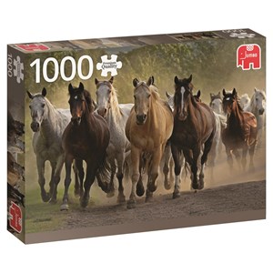 Jumbo (18541) - "Team of Horses" - 1000 brikker puslespil