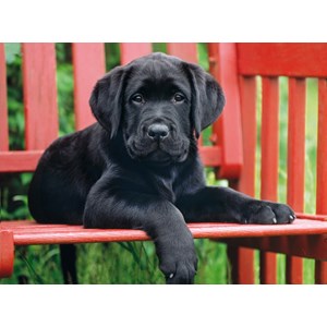 Clementoni (30346) - "The Black Dog" - 500 brikker puslespil