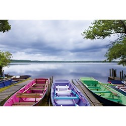 Educa (15984) - "Changing Seasons" - 1000 brikker puslespil