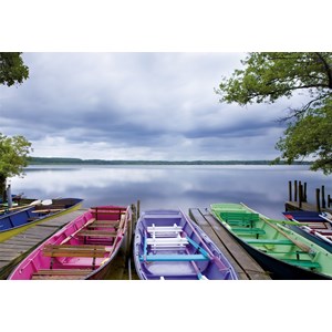 Educa (15984) - "Changing Seasons" - 1000 brikker puslespil