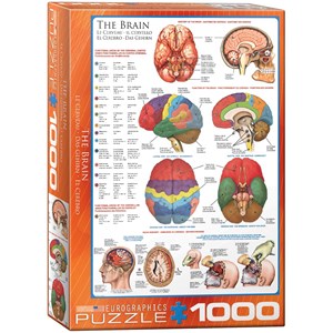 Eurographics (6000-0256) - "Hjernen" - 1000 brikker puslespil