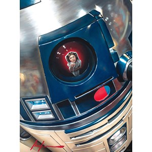 Buffalo Games (11806) - "Star Wars™ 40th Anniversary "You're My Only Hope"" - 1000 brikker puslespil