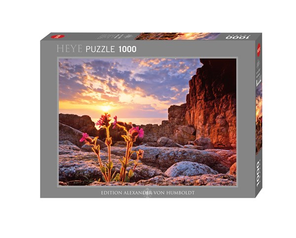 Heye (29671) - Alexander von Humboldt: "Red Campion" - 1000 brikker puslespil